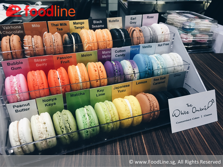 The White Ombre Review - Super Cute Unicorn Macarons!