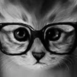 Authentic Review by Lynn Chong