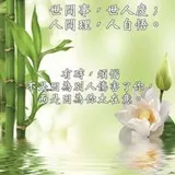 Authentic Review by Lily Gan