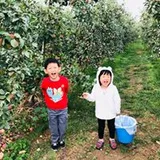 Authentic Review by Lim Hui Min