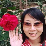 Authentic Review by Wyn Chee