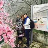 Authentic Review by Roy Tay