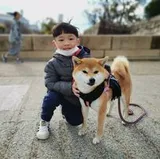 Authentic Review by Tee Kok Kiong