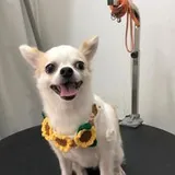 Authentic Review by JennyKoh