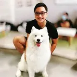 Authentic Review by Wu Junde
