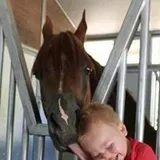 Authentic Review by YEW POH MENG