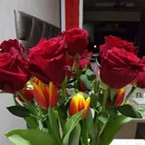Authentic Review by Irene Ng