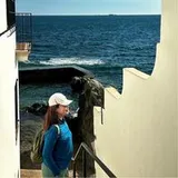 Authentic Review by NG SALLY