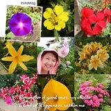 Authentic Review by Ko Lai Sim