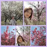 Authentic Review by Iris Ho