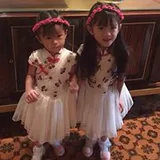Authentic Review by Yan Xia