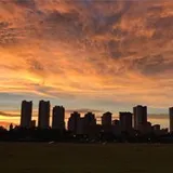 Authentic Review by Gary Tan