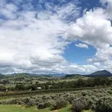 Authentic Review by Jerlynn