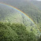 Authentic Review by Yeo Sew Hoon