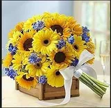 Authentic Review by Jasmine Fu