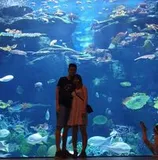 Authentic Review by Lee Jia Yan