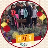 Authentic Review by ADELINE TAN