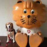 Authentic Review by Joann loh