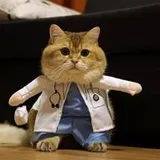 Authentic Review by Travis Quek