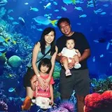 Authentic Review by Tan Hui Xin