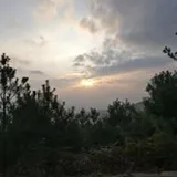 Authentic Review by Cindy Ng