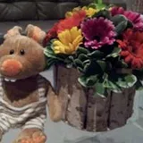 Authentic Review by Clara