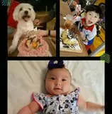 Authentic Review by Hu Yayu