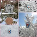 Authentic Review by Sharon Tan