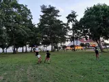 Authentic Review by Yeo