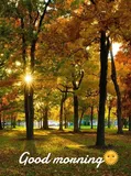 Authentic Review by Doreen Fong