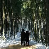 Authentic Review by Seah Wee Khiang