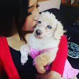 Authentic Review by Janice Lok Lai Sing