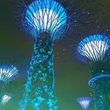 Authentic Review by AO