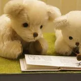 Authentic Review by Hu Yuting