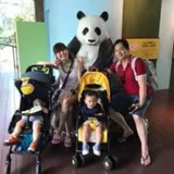 Authentic Review by Jeannie Hong