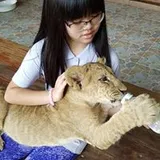 Authentic Review by Calin tan