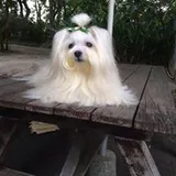 Authentic Review by Corrine tan