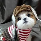 Authentic Review by MEI TING