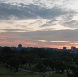 Authentic Review by Joanne