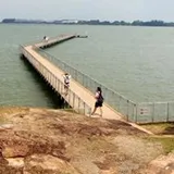 Authentic Review by Fong Sau Yee