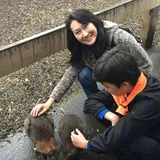 Authentic Review by JN Ho