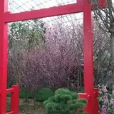 Authentic Review by Joanne Tan