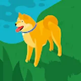 Authentic Review by Colin Tan