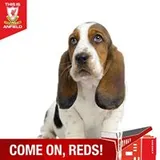 Authentic Review by Angelina Yap