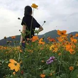 Authentic Review by Zhang Zhiyi