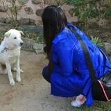 Authentic Review by Lee Hwa