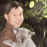 Authentic Review by DAVID CHEONG