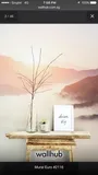 Authentic Review by Steven Cheng