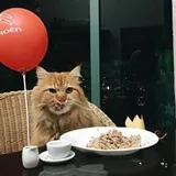 Authentic Review by Yang