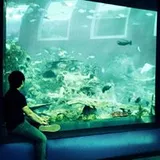 Authentic Review by Lee Jiesheng